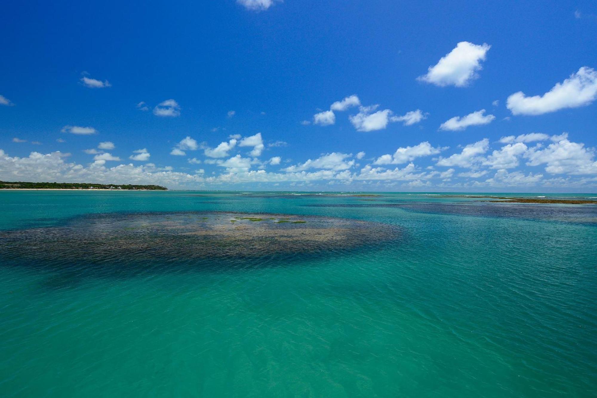 شقة Flat Fm20 Cabo Branco Ocean - By Almare João Pessoa المظهر الخارجي الصورة